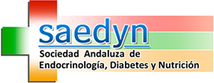 logo Saedyn